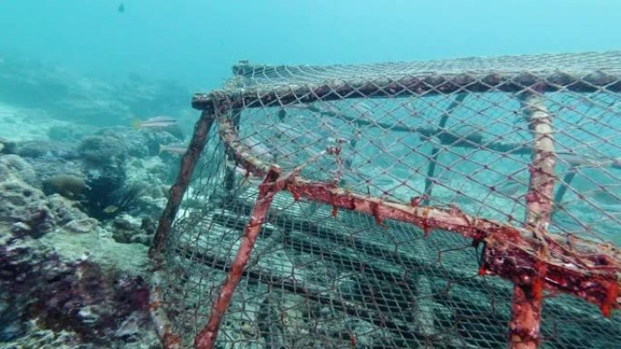 废弃的捕热带鱼鬼网渔具