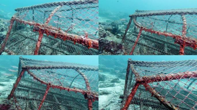 废弃的捕热带鱼鬼网渔具