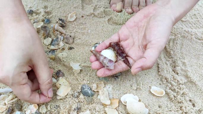 沙子上捡贝壳