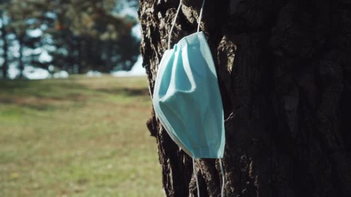 针叶树树干上使用过的医用口罩