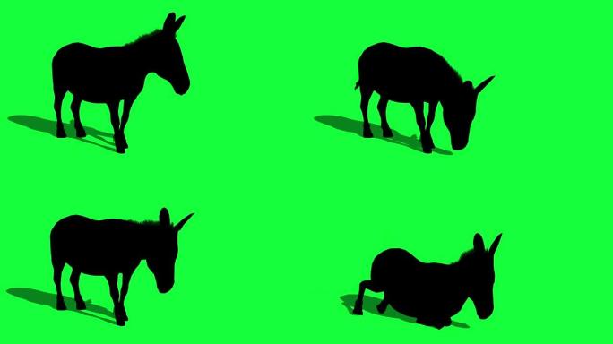 绿色屏幕上驴的3d动画剪影