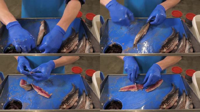 鱼贩的鱼片和清理鲱鱼