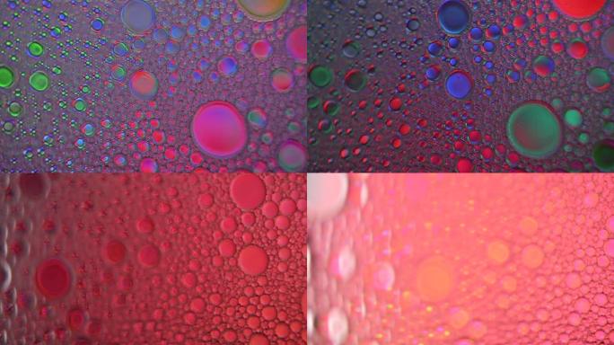 彩色和球形过程中油和水中的液体