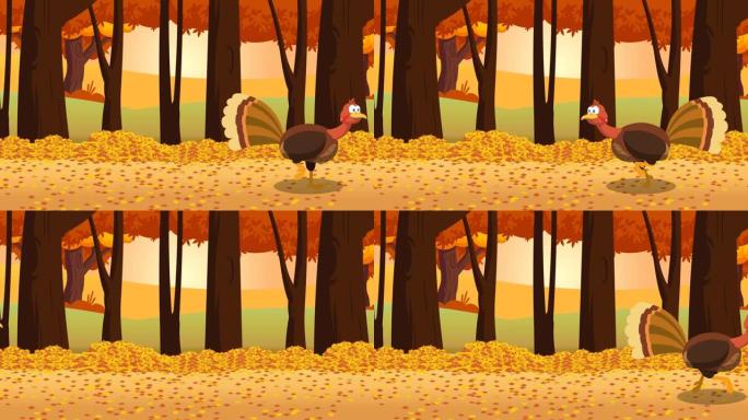 在森林中奔跑的感恩节火鸡鸟卡通人物