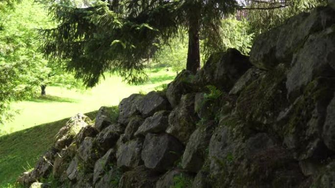 古老的石墙长满了苔藓和蕨类植物，在古老的阴凉森林中