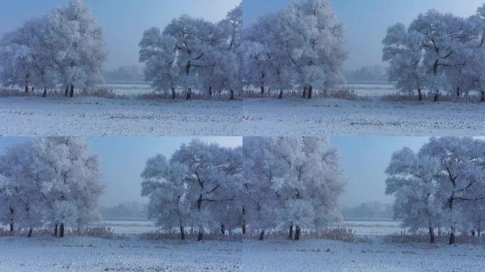 中国吉林雾凇岛雪景