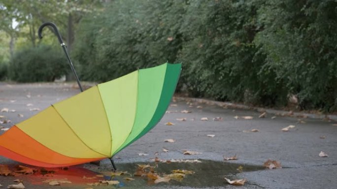 彩色秋伞。
