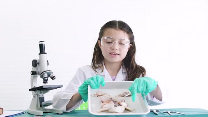 可爱的女孩和青蛙实验室的标本聊天。