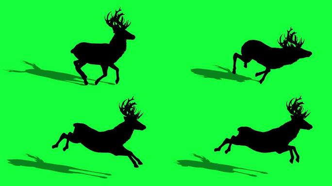 绿色屏幕上鹿的3d动画剪影