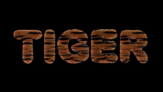 3d动画文本拼写老虎，由愤怒的老虎条纹字母制成