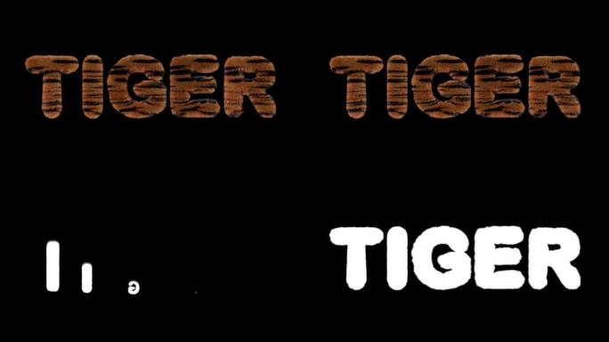 3d动画文本拼写老虎，由愤怒的老虎条纹字母制成