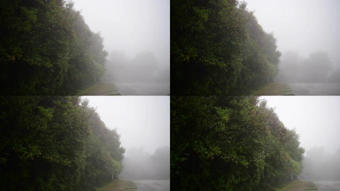 风雨大雨绵绵细雨大风