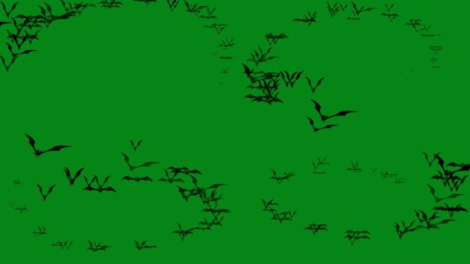 飞行蝙蝠绿屏运动图形