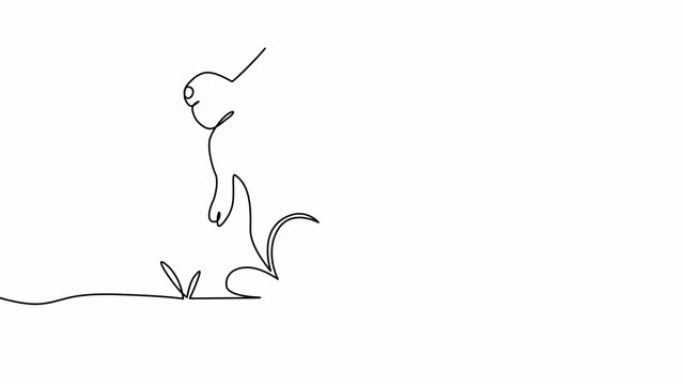 复活节兔单连续单线自绘简单动画。白色背景上的黑线。动画。