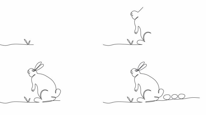 复活节兔单连续单线自绘简单动画。白色背景上的黑线。动画。