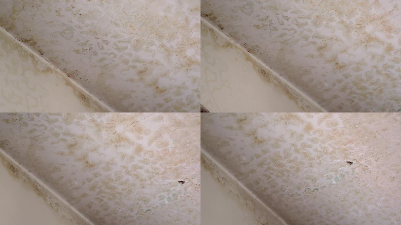 在公寓天花板上形成脏褐色斑点，湿霉菌损坏屋顶。霉菌破坏天花板灰泥，形成水裂缝。大雨后泄漏破坏公寓墙壁