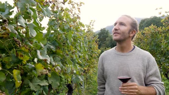 年轻人在秋天的葡萄园里闻到红酒的香气