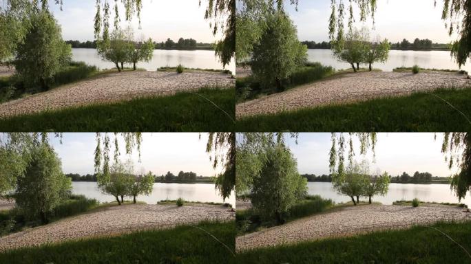河流和蓝天的夏季景观。在有树的田野中间的一个小池塘。蓝天绿草。美丽的乡村景观，有河。乌克兰夏季自然。
