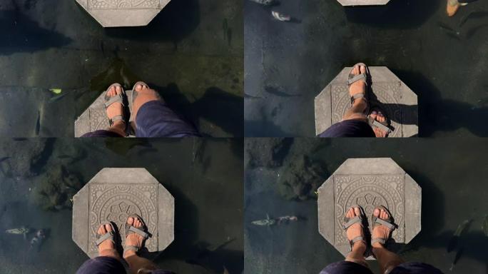 在巴厘岛的Tirta Gangga宫，人在一条有鱼的池塘里走过这条小路。在电话上拍摄