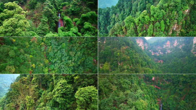 河谷山川森林植被