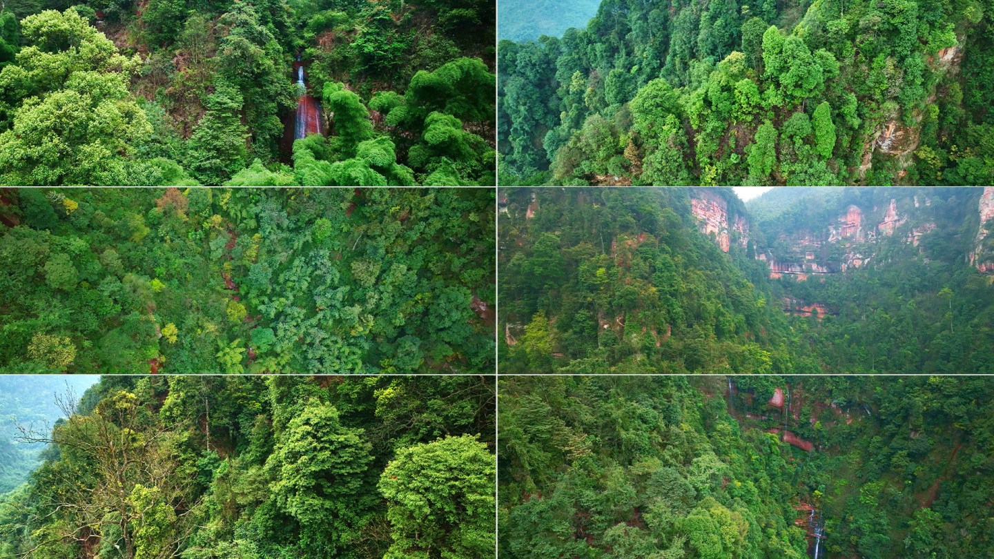 河谷山川森林植被