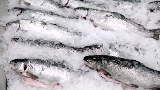 鱼鲑鱼鳟鱼在冰上，在杂货店大卖场出售冷冻鱼