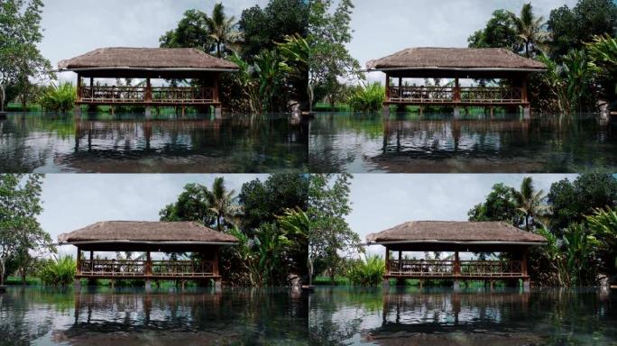 热带夏季后院有一个大凉亭、游泳池和棕榈树