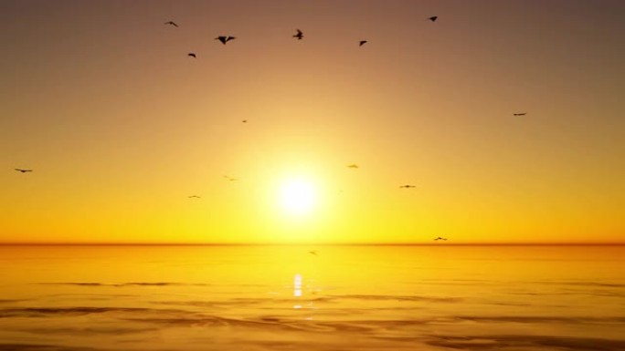 一群鸟儿在美丽的金色日落前高飞在海洋上