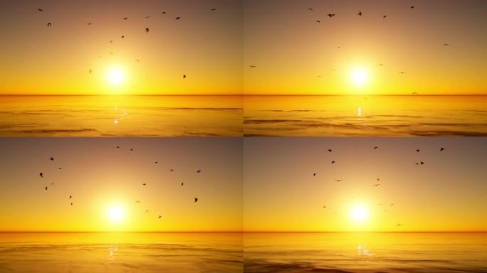 一群鸟儿在美丽的金色日落前高飞在海洋上