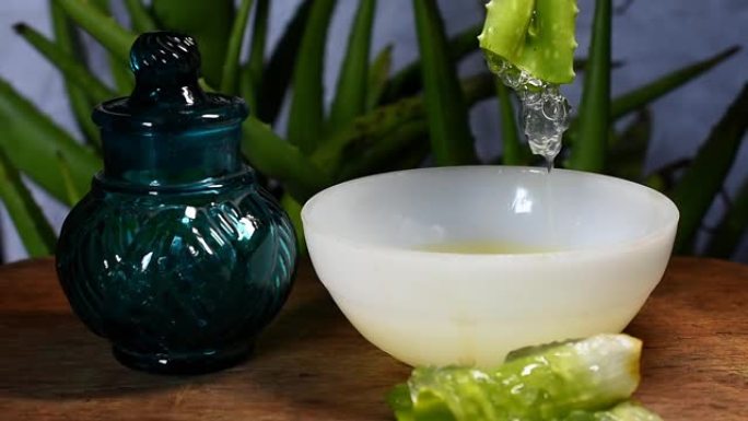 将小的仿古蓝色玻璃锅放在木制桌子上，将凝胶从芦荟叶中提取，并在芦荟植物的背景上的白色碗中提取凝胶。