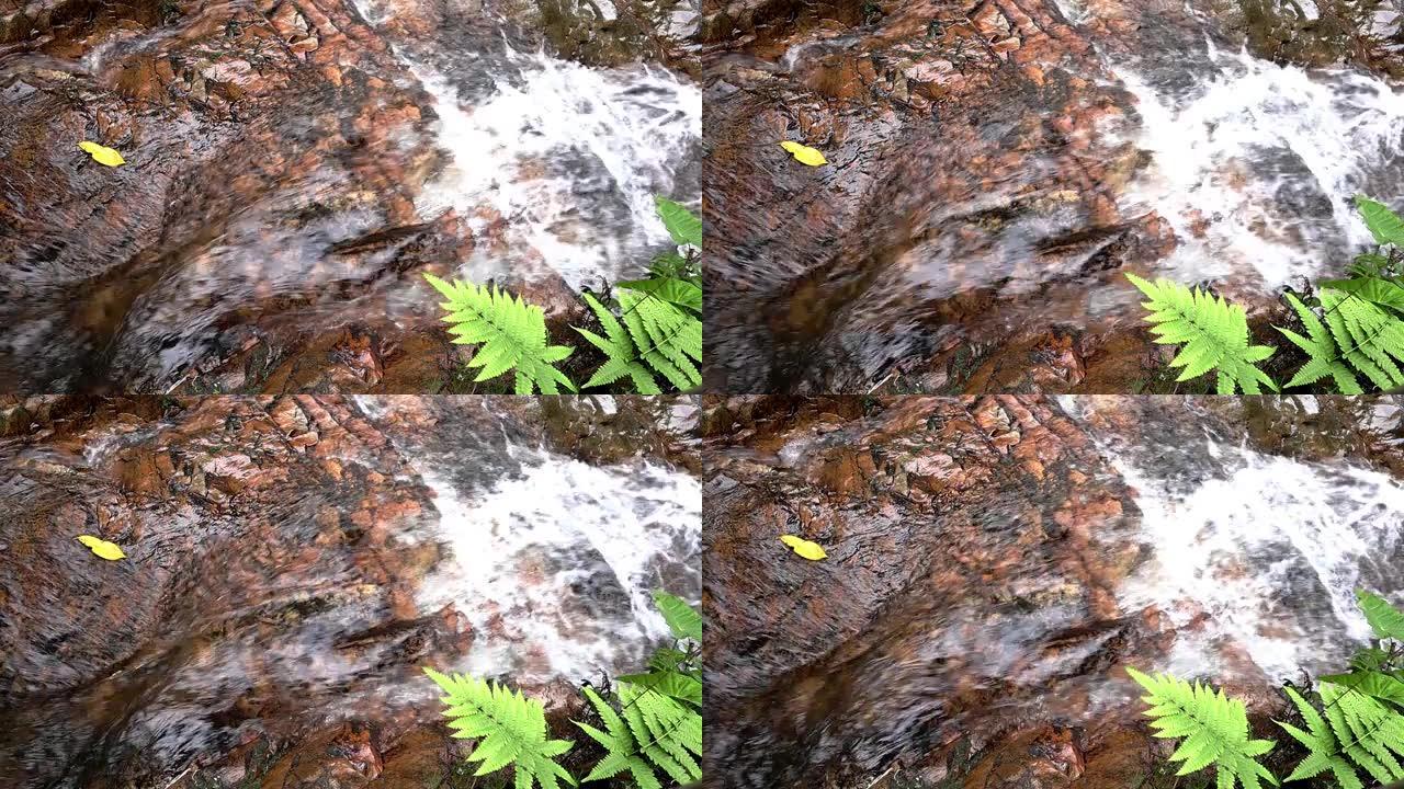 泰国北部森林石头上的山瀑布溪流的特写