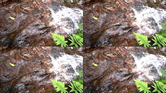 泰国北部森林石头上的山瀑布溪流的特写
