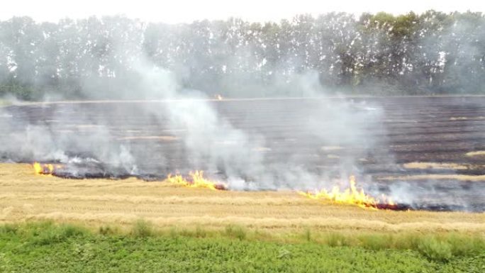 田间失火，收获小麦后在大片土地上燃烧干秸秆，环境污染。