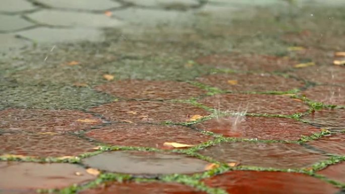 砖砌道路背景下雨滴