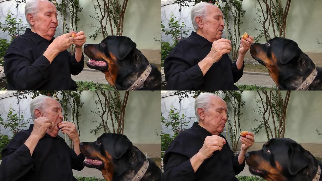 一个老人，院子里有一只狗在吃水果。