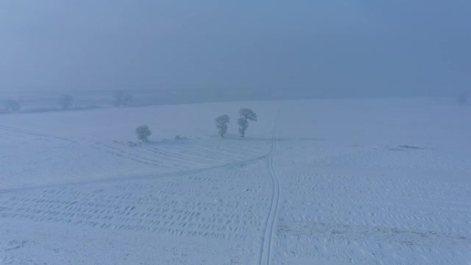 中国吉林雾凇岛雪景