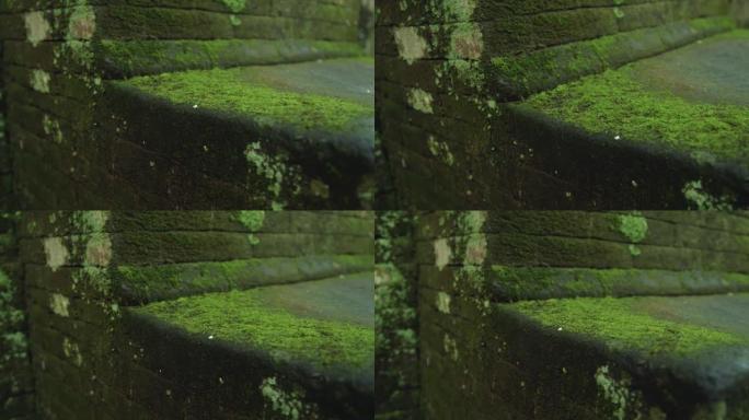 用架子聚焦寺庙中的苔藓石头的特写