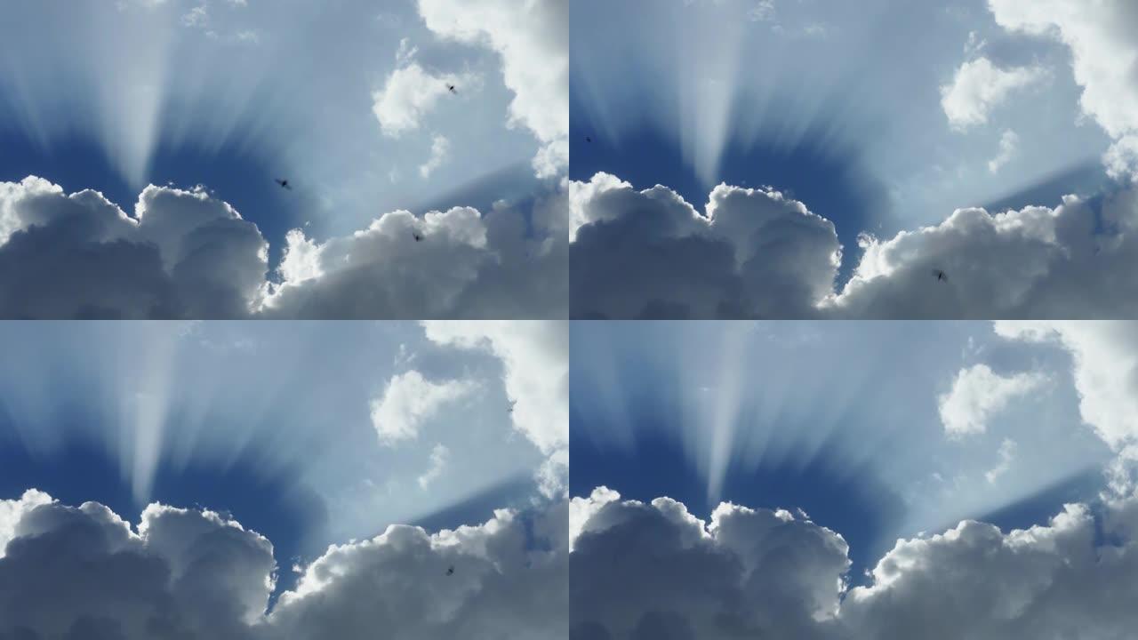 白云发出的太阳光线。一朵云遮住了太阳。鸟儿用云彩在蓝天上飞翔。天空上的阳光光环。