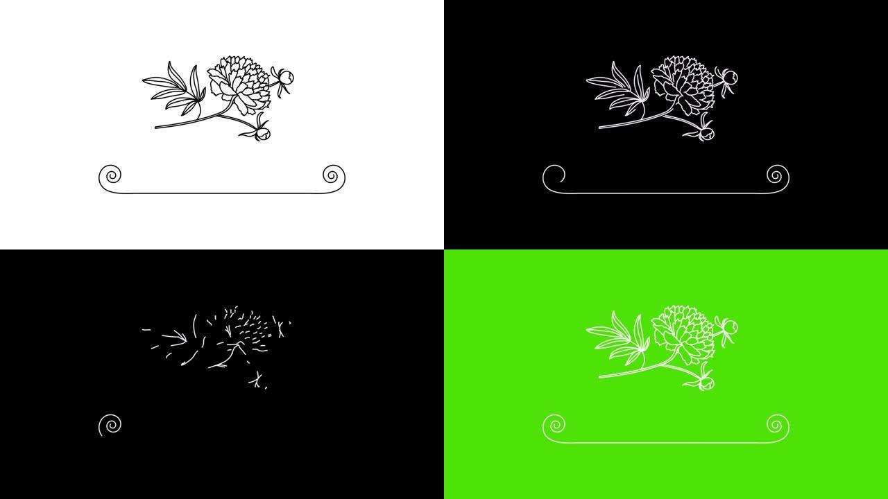 用于文本邀请函、明信片、广告牌、网站、博客、海报、空白背景模板的花卉动画框架。白黑绿背景上的牡丹花动
