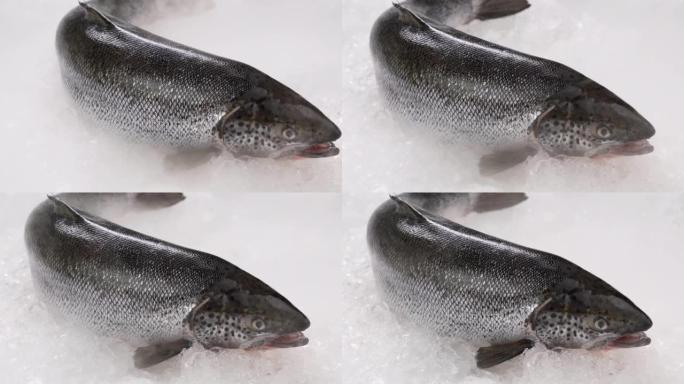 在冰上未煮过的新鲜全鲑鱼海鲜。