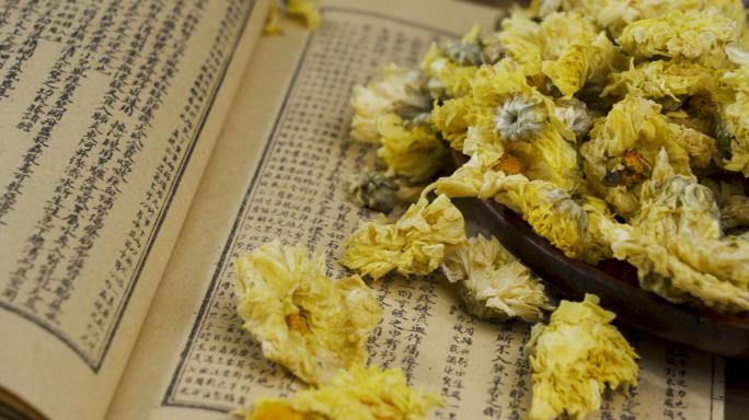 【原创】冲泡菊花茶花茶