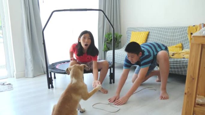 亚洲孩子一起在家和狗玩耍，生活方式理念。