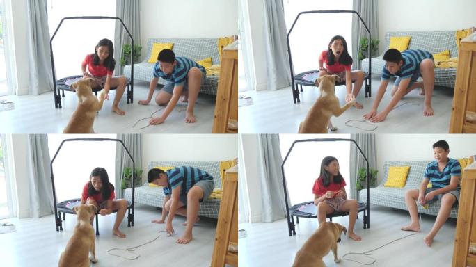 亚洲孩子一起在家和狗玩耍，生活方式理念。