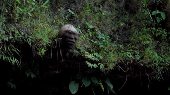 印度尼西亚丛林中的神秘地方，带着森林香水的面孔