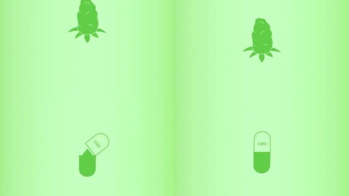 在CBD胶囊丸中提取的绿色大麻芽的2D动画。