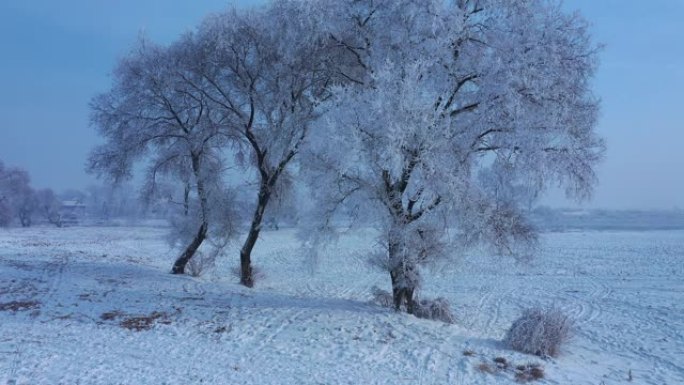 中国吉林雾凇岛雪景