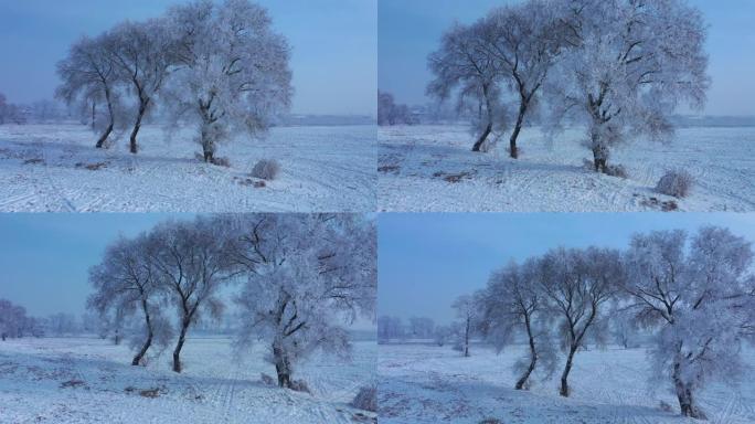 中国吉林雾凇岛雪景