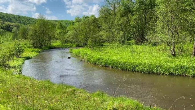 平静的河水沿着绿意盎然的草地流动。横跨河流的木桥