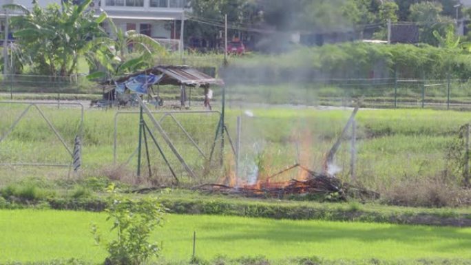 在充满干燥木材和背景房屋的田野中燃烧垃圾