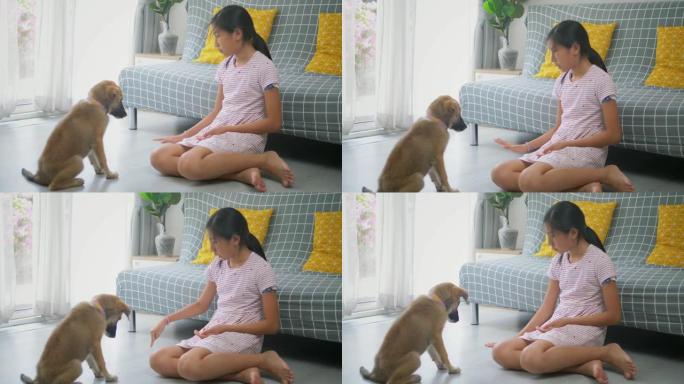亚洲女孩在家教狗，生活方式理念。
